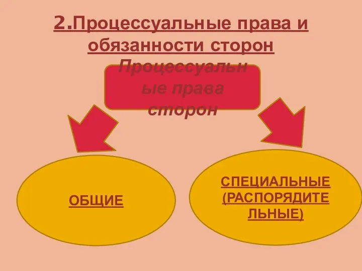 2.Процессуальные права и обязанности сторон Общие Процессуальные права сторон ОБЩИЕ СПЕЦИАЛЬНЫЕ (РАСПОРЯДИТЕЛЬНЫЕ)