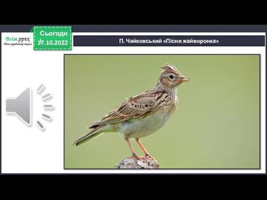 17.10.2022 Сьогодні П. Чайковський «Пісня жайворонка»