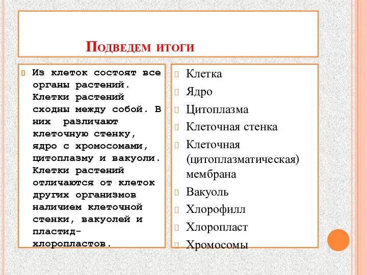 Подведем итоги Из клеток состоят все органы растений. Клетки растений сходны между