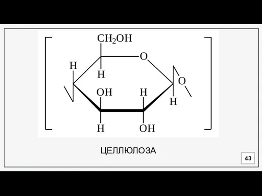 ЦЕЛЛЮЛОЗА 43