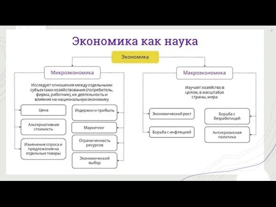 Экономика – это наука об использовании разнообразных, чаще всего ограниченных, ресурсов в