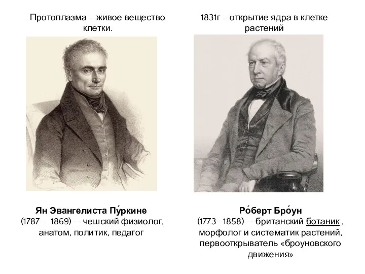 Протоплазма – живое вещество клетки. Ян Эвангелиста Пу́ркине (1787 - 1869) —