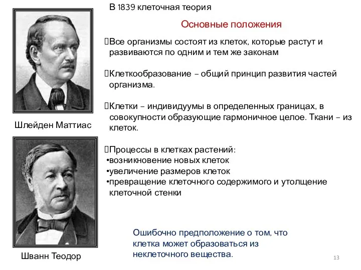 Шлейден Маттиас Шванн Теодор В 1839 клеточная теория Основные положения Все организмы