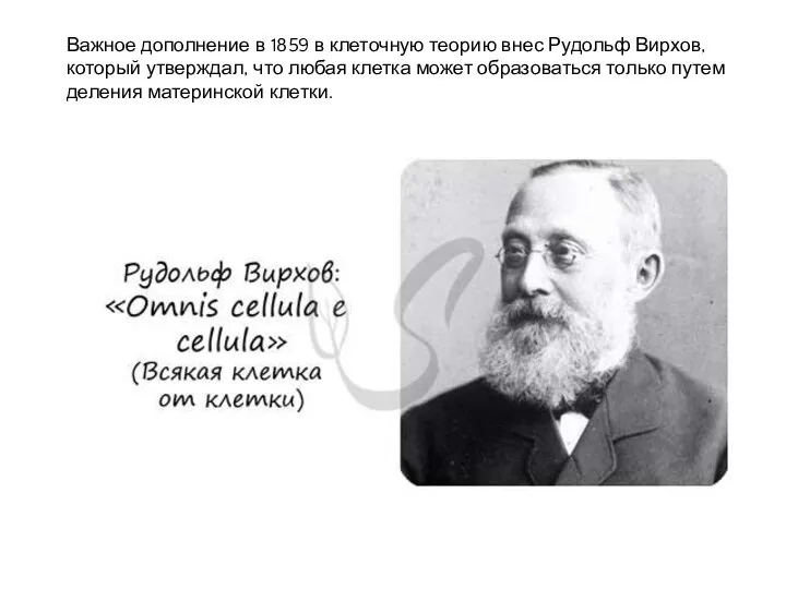 Важное дополнение в 1859 в клеточную теорию внес Рудольф Вирхов, который утверждал,