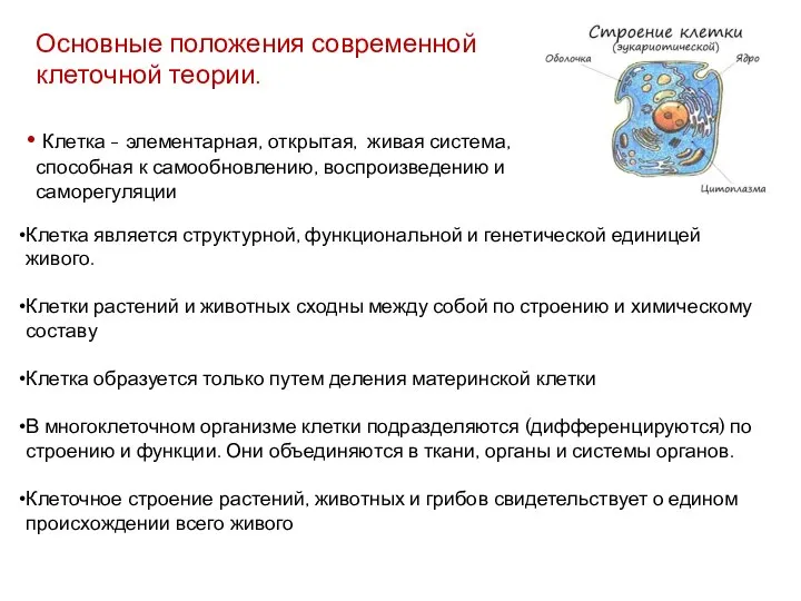 Основные положения современной клеточной теории. Клетка - элементарная, открытая, живая система, способная