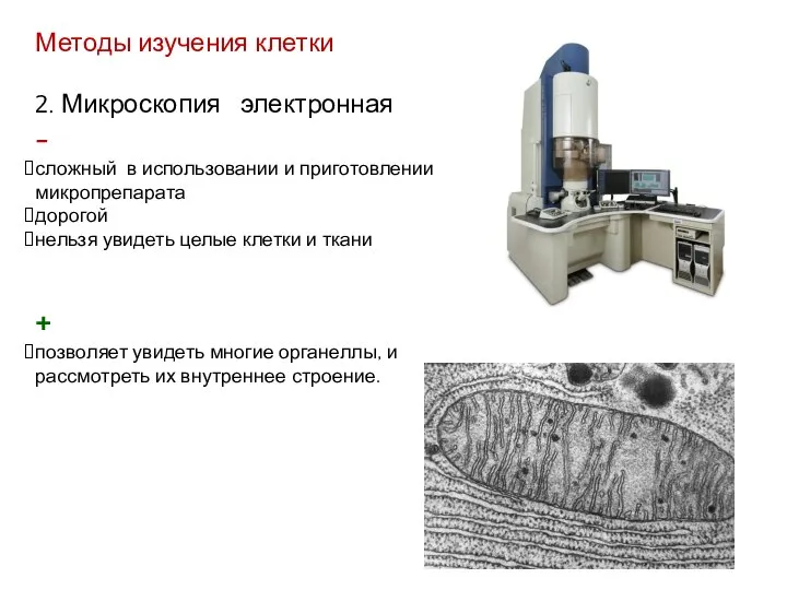 Методы изучения клетки 2. Микроскопия электронная - сложный в использовании и приготовлении