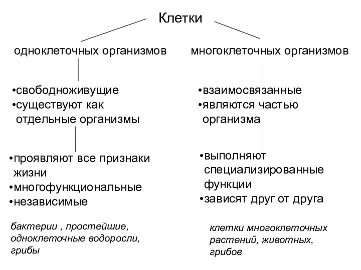 Клетки одноклеточных организмов многоклеточных организмов свободноживущие существуют как отдельные организмы взаимосвязанные являются