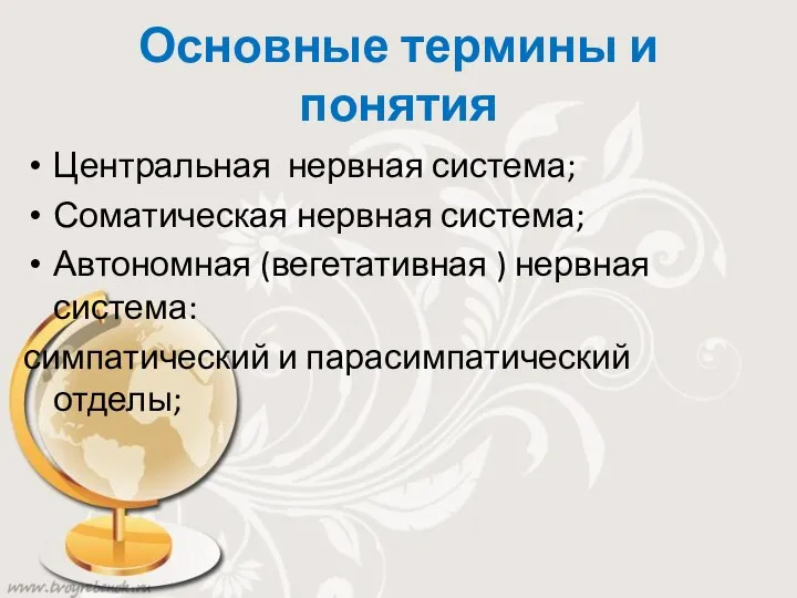 Основные термины и понятия Центральная нервная система; Соматическая нервная система; Автономная (вегетативная