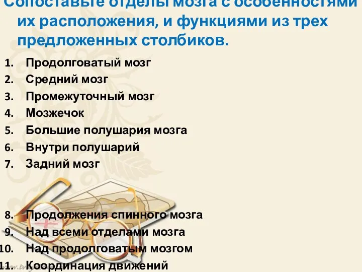 Сопоставьте отделы мозга с особенностями их расположения, и функциями из трех предложенных