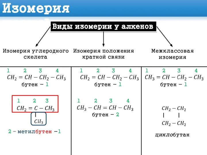 Изомерия Виды изомерии у алкенов Изомерия углеродного скелета Изомерия положения кратной связи