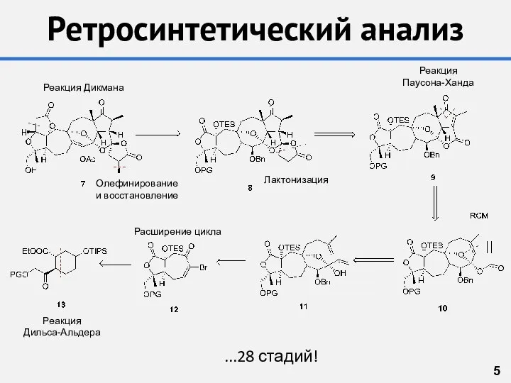 Ретросинтетический анализ 5 ...28 стадий! Реакция Дикмана Лактонизация Реакция Паусона-Ханда Расширение цикла