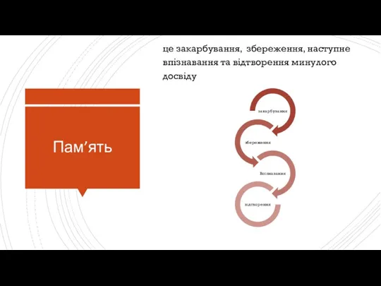 Пам’ять це закарбування, збереження, наступне впізнавання та відтворення минулого досвіду