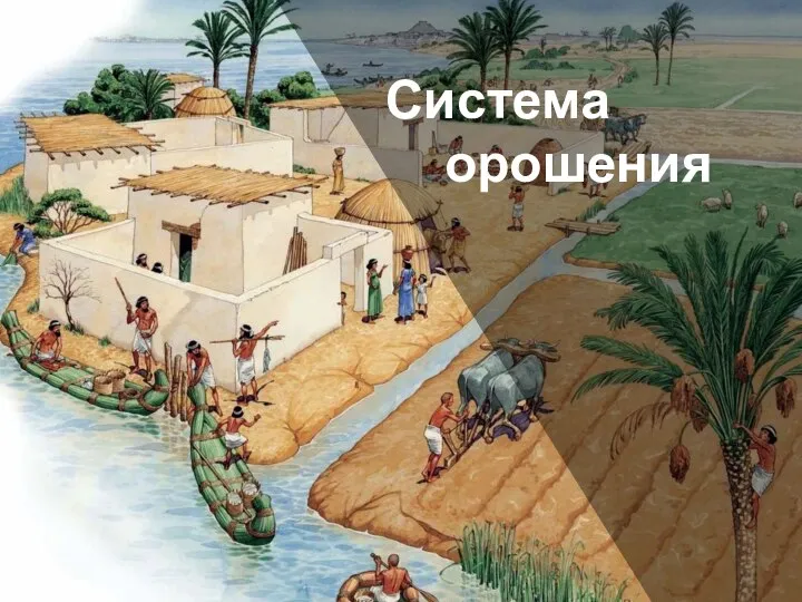 Система орошения