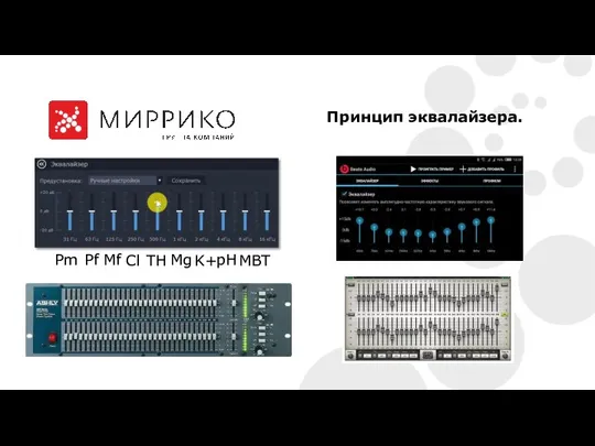 Принцип эквалайзера. Pm Pf Mf Cl TH MBT Mg K+ pH