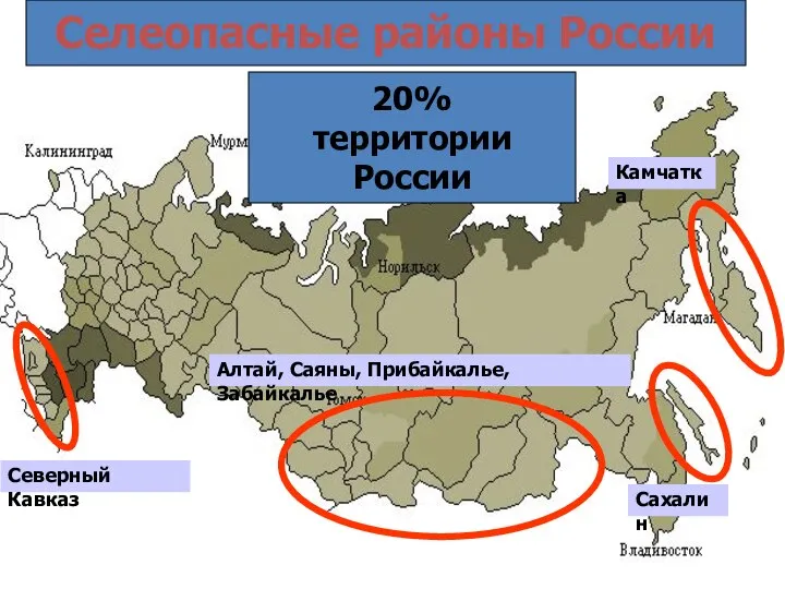 Селеопасные районы России Северный Кавказ Алтай, Саяны, Прибайкалье, Забайкалье Сахалин Камчатка 20% территории России