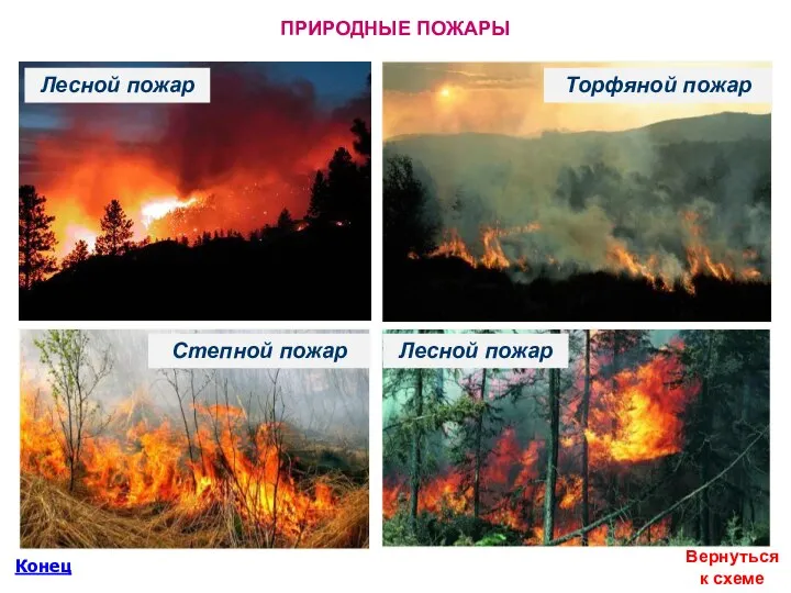ПРИРОДНЫЕ ПОЖАРЫ Вернуться к схеме Конец Лесной пожар Торфяной пожар Степной пожар Лесной пожар