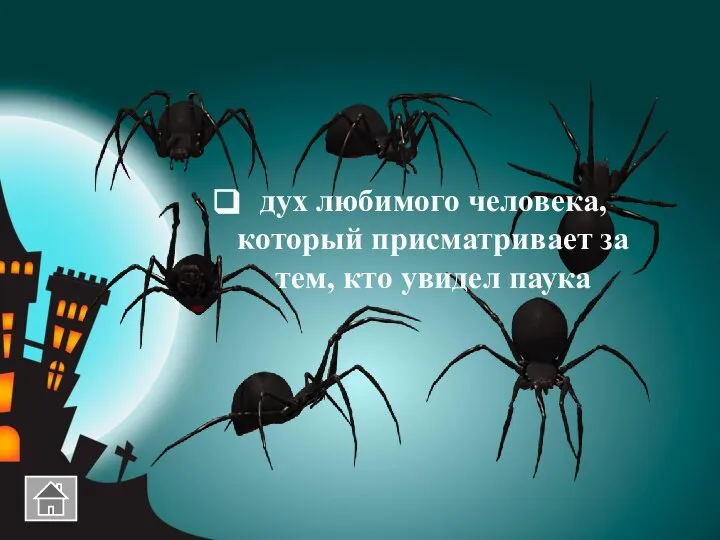 дух любимого человека, который присматривает за тем, кто увидел паука