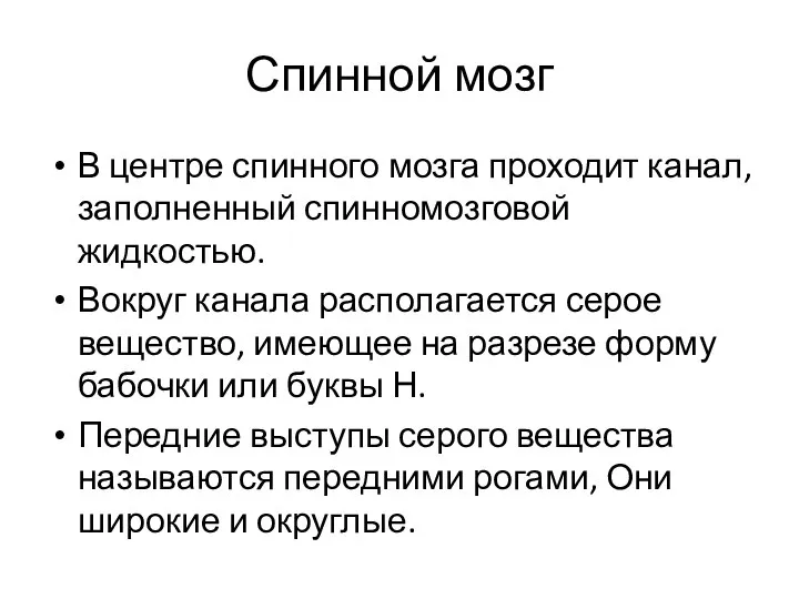 Спинной мозг В центре спинного мозга проходит канал, заполненный спинномозговой жидкостью. Вокруг