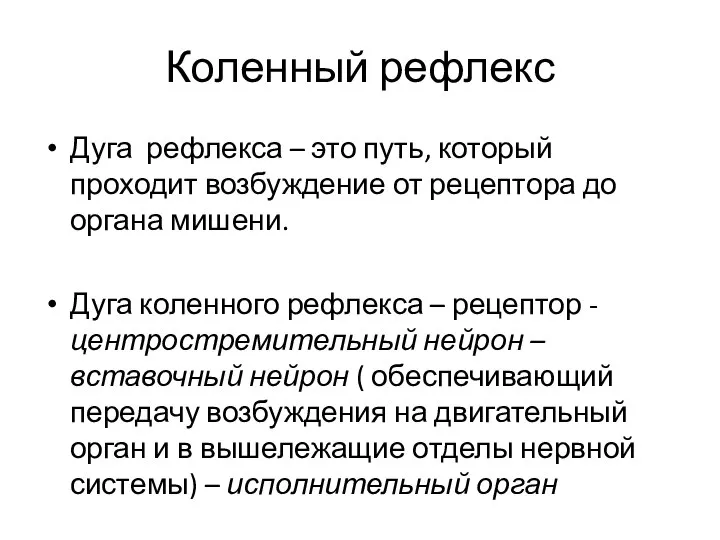 Коленный рефлекс Дуга рефлекса – это путь, который проходит возбуждение от рецептора