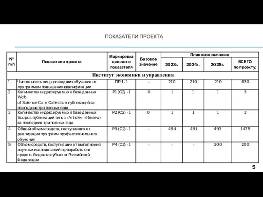 ПОКАЗАТЕЛИ ПРОЕКТА