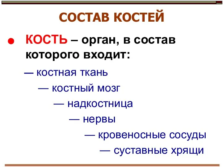 СОСТАВ КОСТЕЙ КОСТЬ – орган, в состав которого входит: ― костная ткань