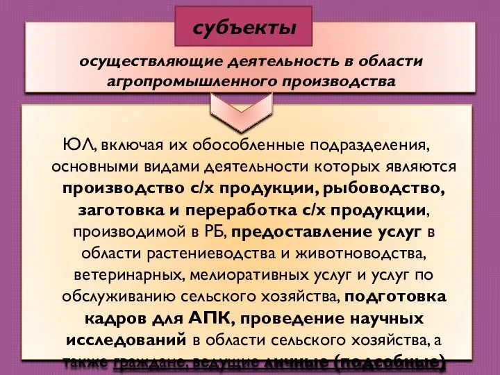 осуществляющие деятельность в области агропромышленного производства ЮЛ, включая их обособленные подразделения, основными