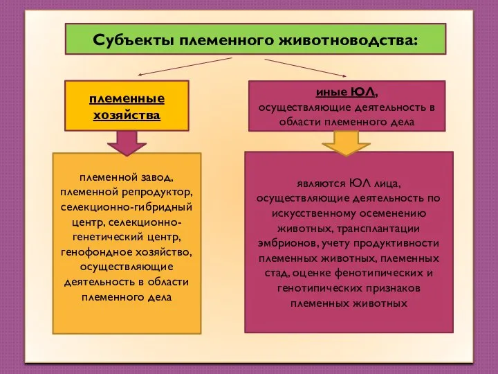 племенные хозяйства иные ЮЛ, осуществляющие деятельность в области племенного дела племенной завод,