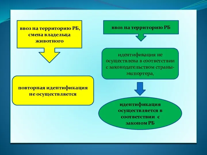 ввоз на территорию РБ, смена владельца животного ввоз на территорию РБ повторная