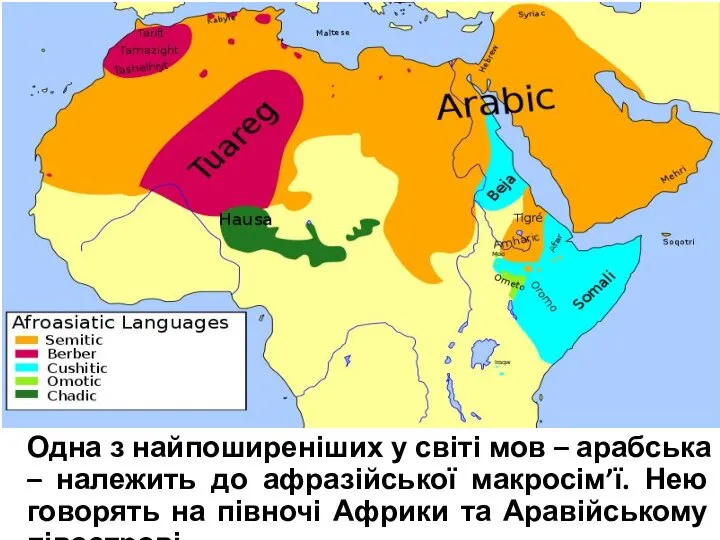 Одна з найпоширеніших у світі мов – арабська – належить до афразійської
