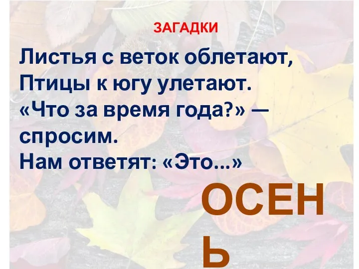 Листья с веток облетают, Птицы к югу улетают. «Что за время года?»