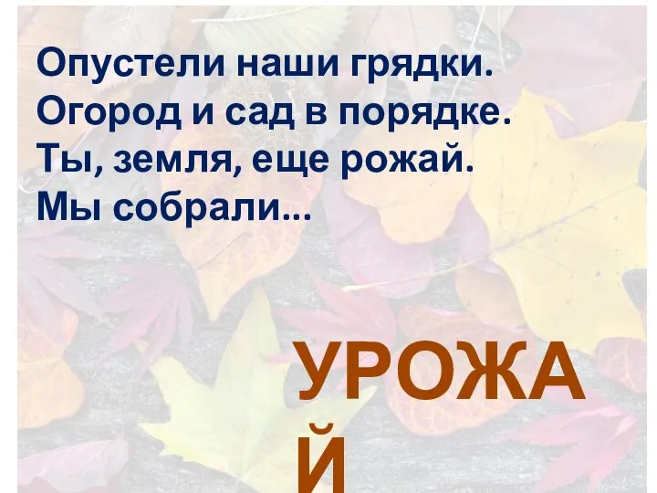 Опустели наши грядки. Огород и сад в порядке. Ты, земля, еще рожай. Мы собрали... УРОЖАЙ