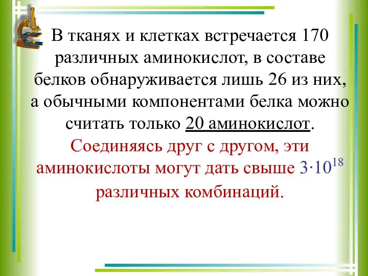 В тканях и клетках встречается 170 различных аминокислот, в составе белков обнаруживается