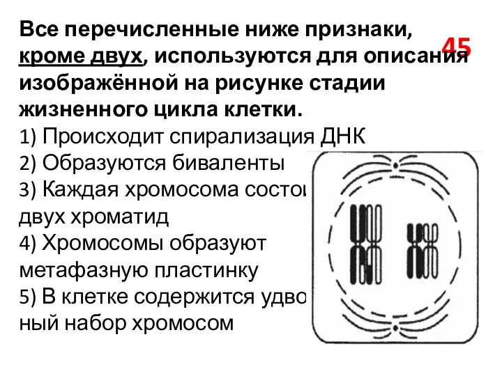 45 Все перечисленные ниже признаки, кроме двух, используются для описания изображённой на