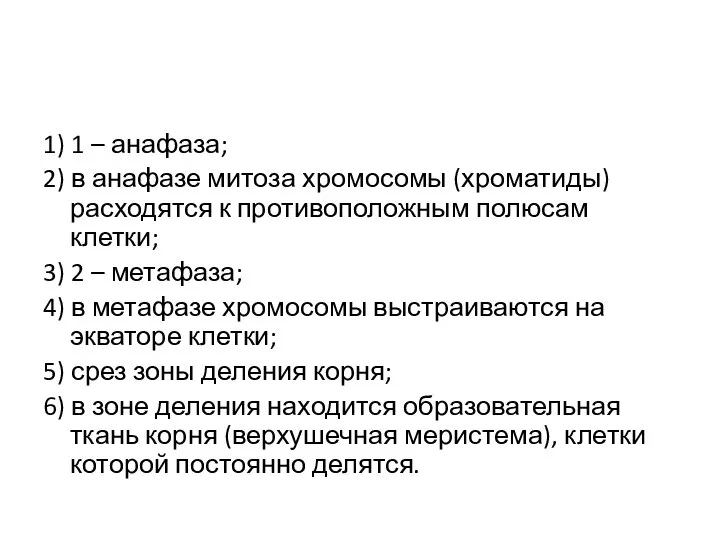 1) 1 – анафаза; 2) в анафазе митоза хромосомы (хроматиды) расходятся к