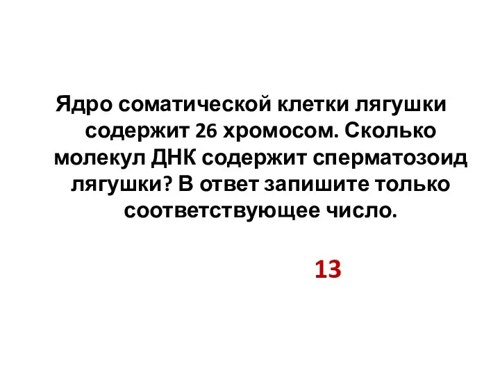 Ядро соматической клетки лягушки содержит 26 хромосом. Сколько молекул ДНК содержит сперматозоид