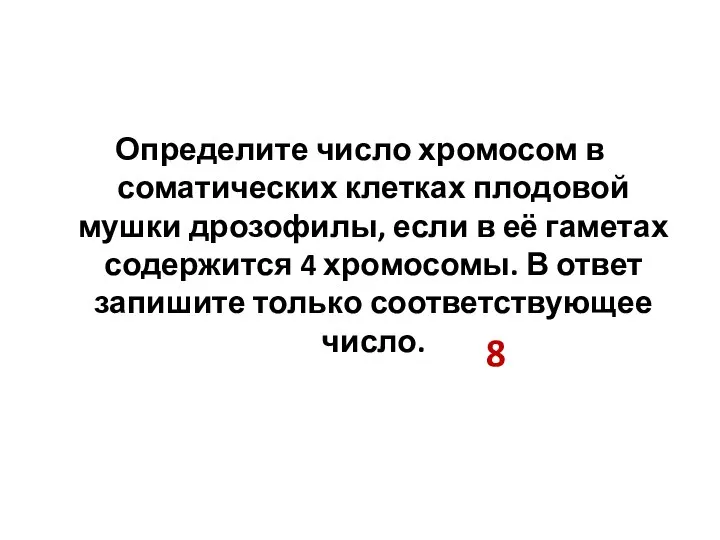 Определите число хромосом в соматических клетках плодовой мушки дрозофилы, если в её