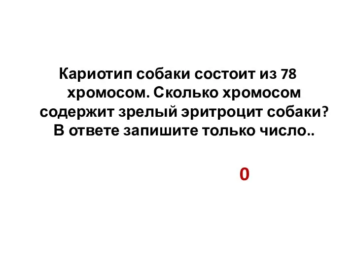 Кариотип собаки состоит из 78 хромосом. Сколько хромосом содержит зрелый эритроцит собаки?