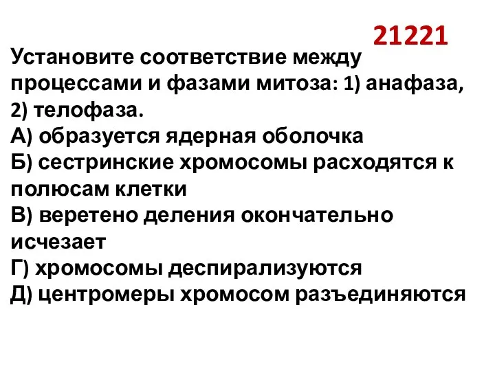 21221 Установите соответствие между процессами и фазами митоза: 1) анафаза, 2) телофаза.