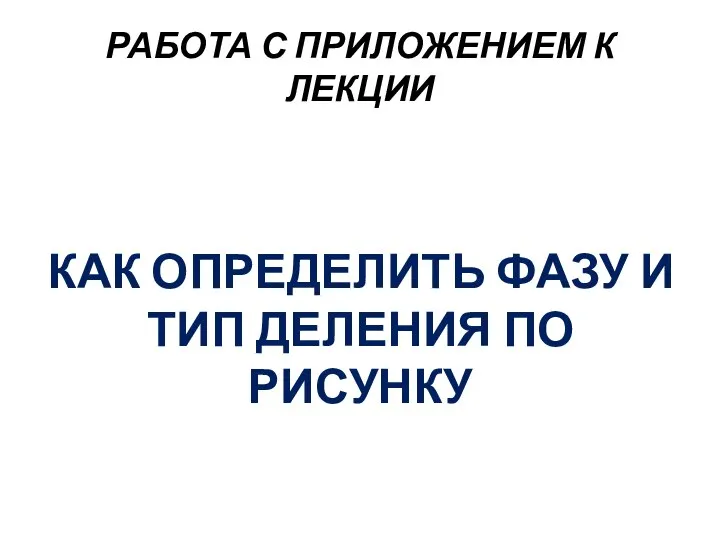 КАК ОПРЕДЕЛИТЬ ФАЗУ И ТИП ДЕЛЕНИЯ ПО РИСУНКУ РАБОТА С ПРИЛОЖЕНИЕМ К ЛЕКЦИИ