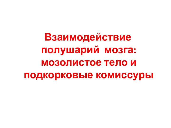 Взаимодействие полушарий мозга: мозолистое тело и подкорковые комиссуры