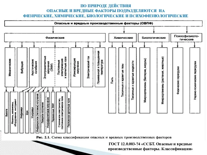 ПО ПРИРОДЕ ДЕЙСТВИЯ ОПАСНЫЕ И ВРЕДНЫЕ ФАКТОРЫ ПОДРАЗДЕЛЯЮТСЯ НА ФИЗИЧЕСКИЕ, ХИМИЧЕСКИЕ, БИОЛОГИЧЕСКИЕ