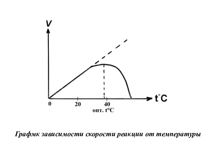 Графмк зависимости скорости реакции от температуры