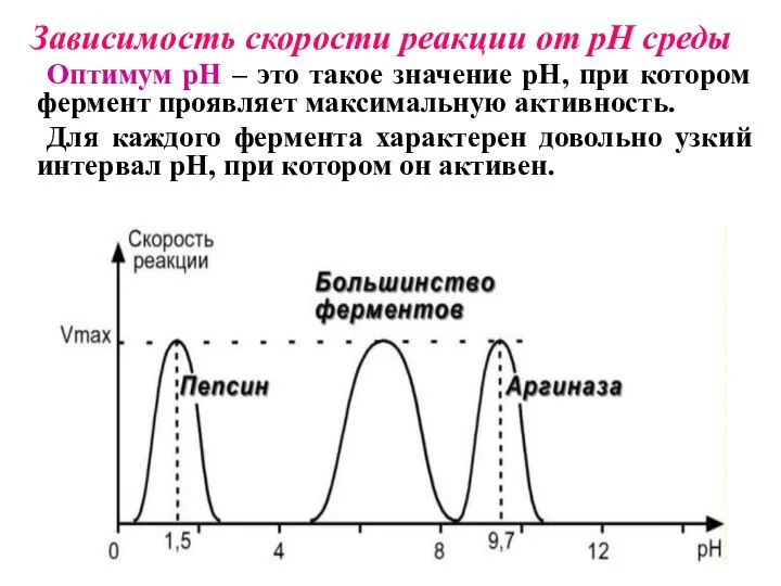 Зависимость скорости реакции от pH среды Оптимум pH – это такое значение