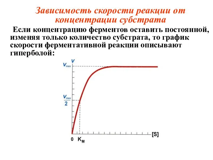 Зависимость скорости реакции от концентрации субстрата Если концентрацию ферментов оставить постоянной, изменяя