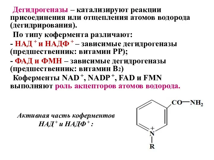 Дегидрогеназы – катализируют реакции присоединения или отщепления атомов водорода (дегидрирования). По типу