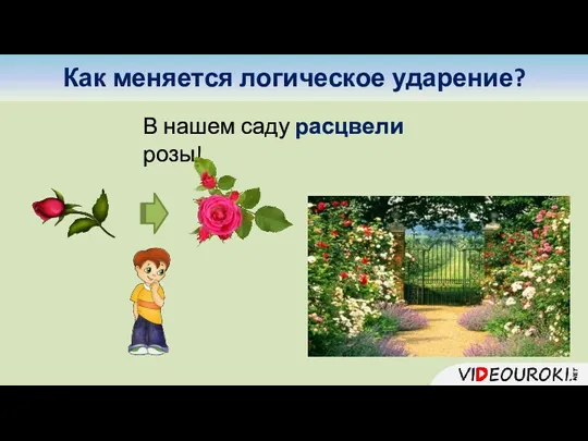 Как меняется логическое ударение? В нашем саду расцвели розы!