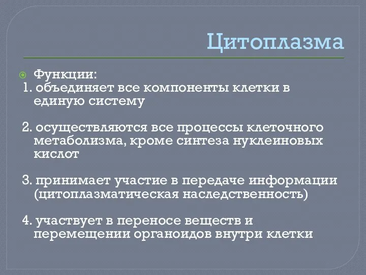 Цитоплазма Функции: 1. объединяет все компоненты клетки в единую систему 2. осуществляются