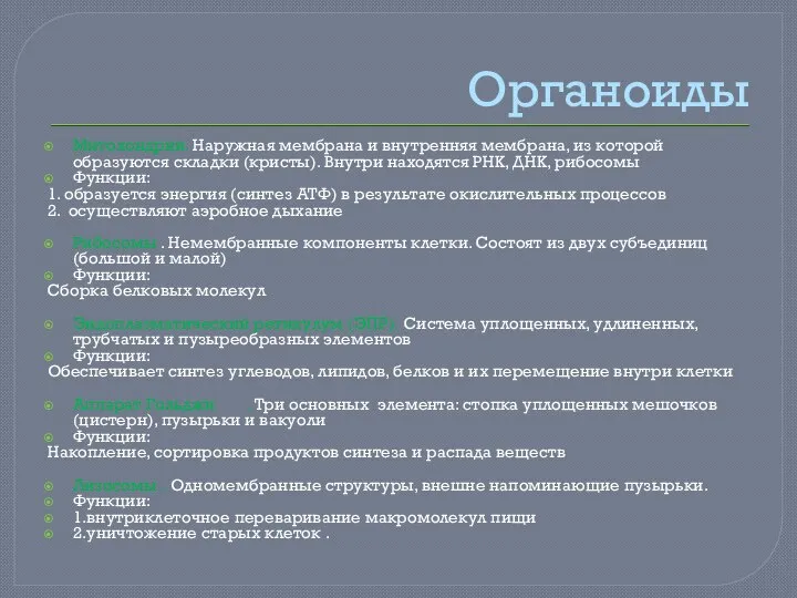 Органоиды Митохондрии. Наружная мембрана и внутренняя мембрана, из которой образуются складки (кристы).