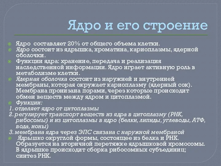 Ядро и его строение Ядро составляет 20% от общего объема клетки. Ядро