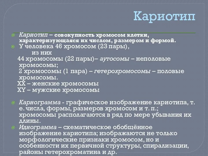 Кариотип Кариотип – совокупность хромосом клетки, характеризующаяся их числом, размером и формой.